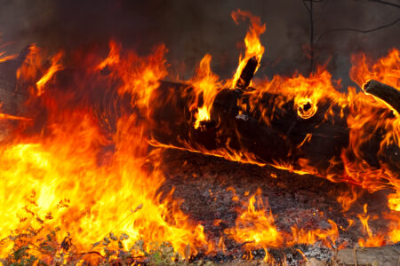 Has EIP-1559 turned Ether deflationary? Has EIP-1559 turned Ether deflationary?