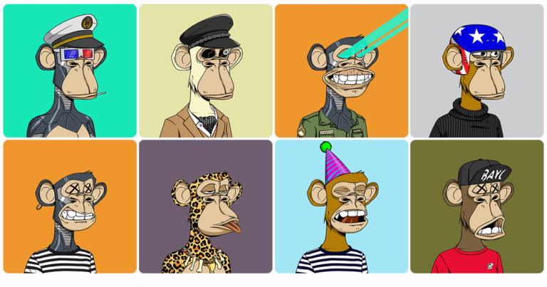 What is the Bored Apes Yacht Club (BAYC)?