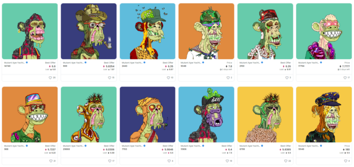 What is the Bored Apes Yacht Club (BAYC)?