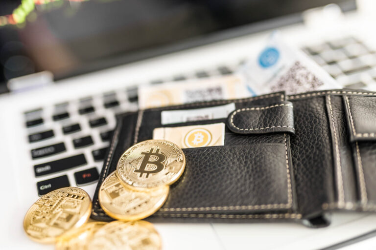 An analysis of retail investors in cryptocurrencies